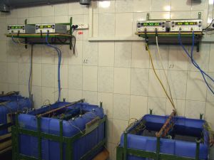 Источники питания BVP Electronics в гальванических ваннах